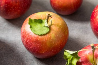 Organic Healthy Autumn Red Jonagold Apples in a Bunch