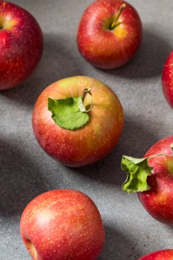 Organic Healthy Autumn Red Jonagold Apples in a Bunch