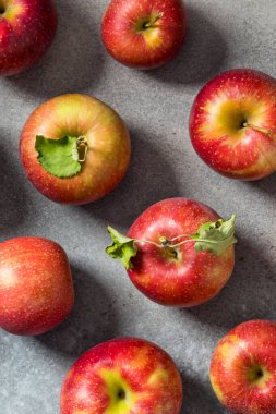 Organic Healthy Autumn Red Jonagold Apples in a Bunch