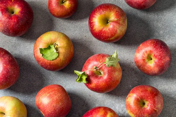 Organic Healthy Autumn Red Jonagold Apples in a Bunch