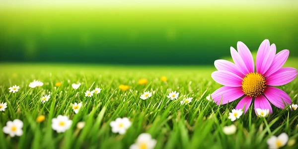 Spring landscape, blossoming field with green grass, white chamomiles and one big pink flower. Nature illustration. 3d rendering.