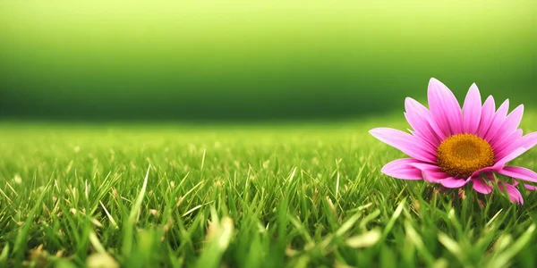Spring landscape, blossoming field with green grass and one big pink flower. Nature illustration. 3d rendering.