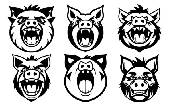 Set Pig Heads Open Mouth Bared Fangs Different Angry Expressions — Stock Vector
