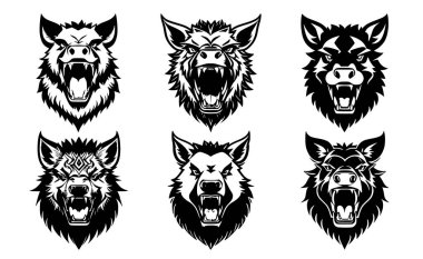 Yaban domuzu kafaları, ağzı açık ve sivri dişleri açık, farklı kızgın ifadeleri var. Dövme, amblem veya logo sembolleri, beyaz bir arkaplanda izole edilmiş..