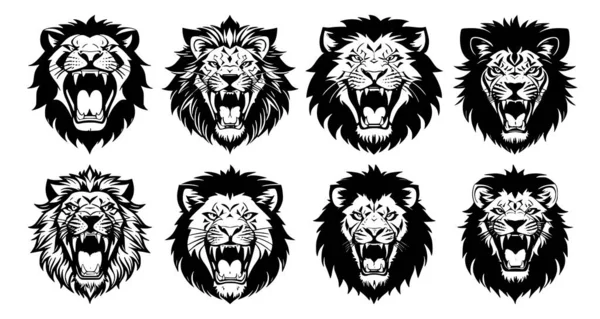 一组狮头 张着嘴 露出尖牙 嘴上有着不同的愤怒表情 徽章或标志的符号 用白色背景隔开 — 图库矢量图片