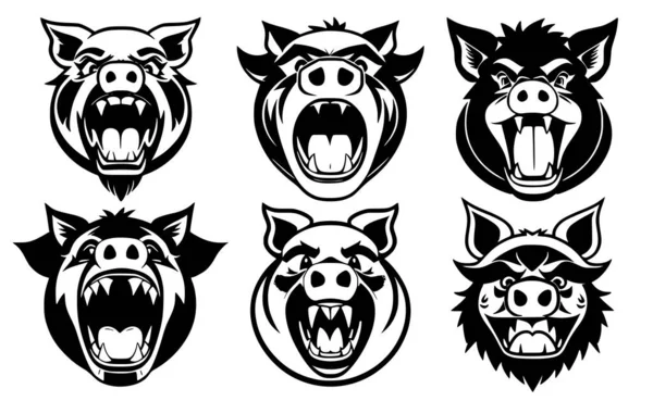 Zestaw Głów Świni Otwartymi Ustami Obnażonymi Kłami Różnymi Gniewnymi Wyrazami — Wektor stockowy