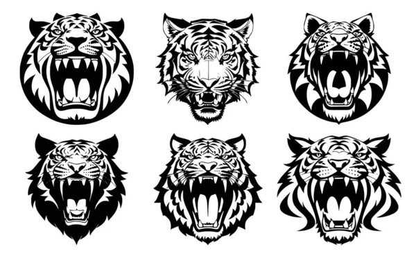 口を開いて 虎の頭のセットと牙を負担し 銃口の異なる怒りの表現で 白い背景に隔離されたタトゥー エンブレムまたはロゴのシンボル — ストックベクタ