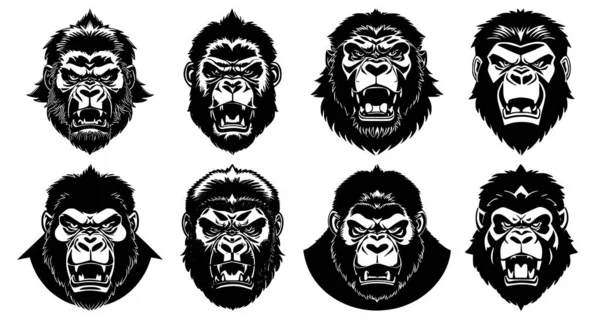 Set Gorilla Heads Open Mouth Bared Fangs Different Angry Expressions — Stock Vector