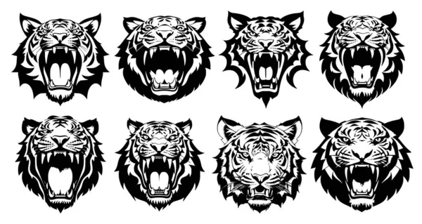 Zestaw Głowic Tygrysa Otwartymi Ustami Obnażonymi Kłami Różnymi Gniewnymi Wyrazami — Wektor stockowy