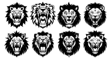 Ağzı açık aslan başları ve ağzında farklı kızgın ifadeler olan sivri dişleri olan bir grup. Dövme, amblem veya logo sembolleri, beyaz bir arkaplanda izole edilmiş..