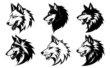 Ağzı açık kurt kafaları ve ağzında farklı kızgın ifadelerle sivri dişleri olan bir grup. Dövme, amblem veya logo sembolleri, beyaz bir arkaplanda izole edilmiş..