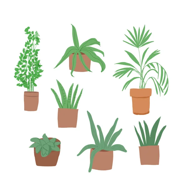植物在盆栽向量图集 卡通扁平不同的室内盆栽装饰室内室内家居或办公室装饰 绿色花园花卉采集图标隔离在白色 — 图库矢量图片