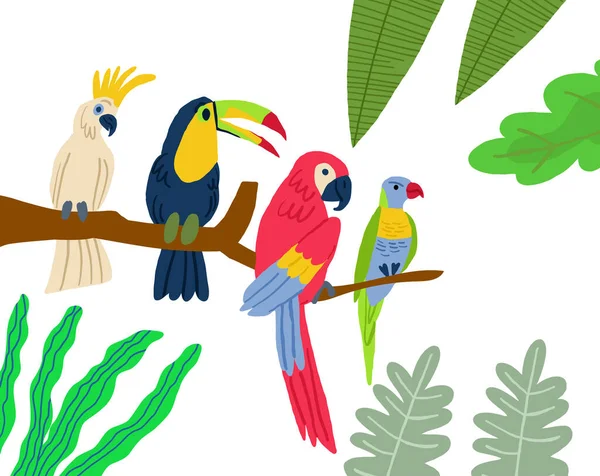 Různé Druhy Exotických Ptáků Vektorový Plochý Kreslený Grafický Design Ilustrace — Stockový vektor