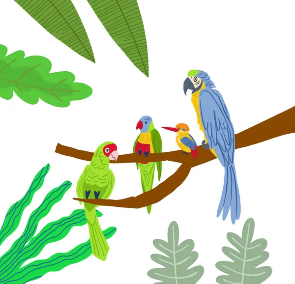 Diferentes Tipos Aves Exóticas Ilustración Gráfica Dibujos Animados Planos Vectoriales — Vector de stock