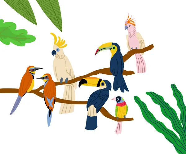 Olika Typer Exotiska Fåglar Vektor Platt Tecknad Grafisk Design Illustration — Stock vektor