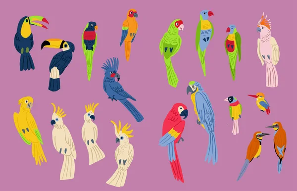Ensemble Icônes Oiseaux Vectoriels Design Plat Populaire Collection Espèces Oiseaux — Image vectorielle