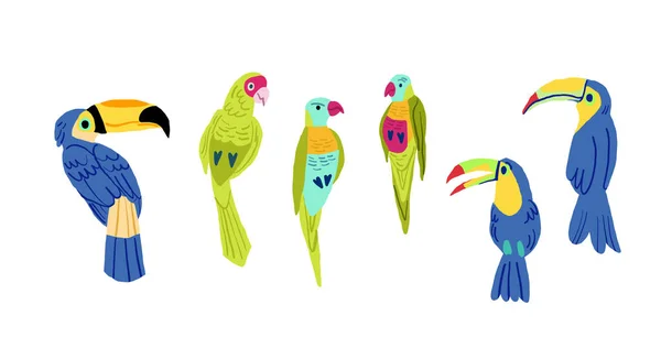Плоский Набор Иконок Векторных Птиц Популярная Коллекция Птиц Экзотическая Птица — стоковый вектор