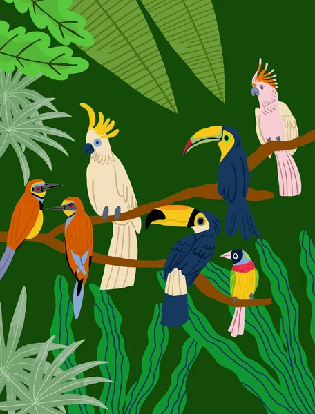 Different type of exotic birds. Vector flat cartoon graphic design illustration. Birds poster. Vector illustration
