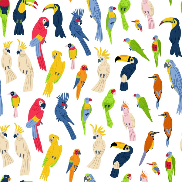 Colorful exotic birds vector seamless pattern on white. Exotic bird pattern. Tropical parrots mega collection. Vector illustration