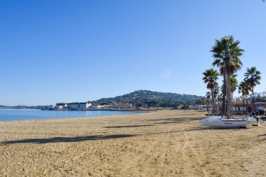 Beach Cogolin France, day time sun sand and palm trees
