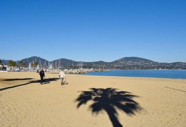 Port Cogolin Provence Alps palm trees beach Cogolin shadow on sand