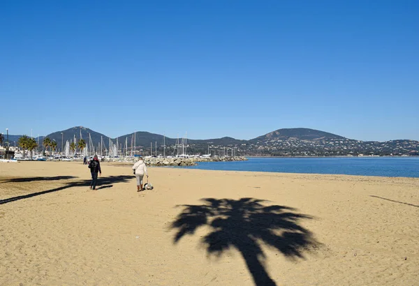 Port Cogolin Provence Alps palm trees beach Cogolin shadow on sand