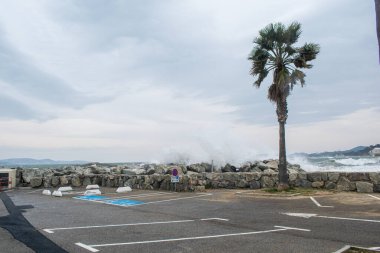 Port Cogolin beach shore rainy day with wind palm trees and clouds