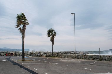 Port Cogolin beach shore rainy day with wind palm trees and clouds