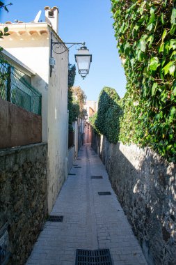 Saint Trope narrow street with plants and sunshine