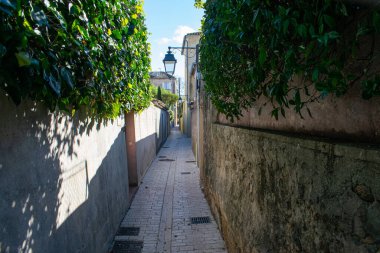 Saint Trope narrow street with plants and sunshine