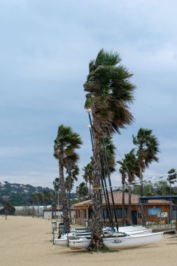 Port Cogolin beach shore rainy day with wind palm trees and clouds