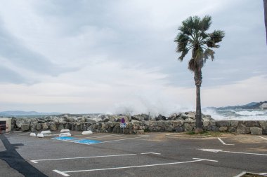 Port Cogolin beach shore rainy day with wind palm trees and clouds
