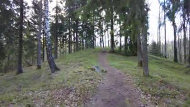 Ormanda gün boyunca yürürken yeşil ağaçlar hiç kimse güzel bir gün geçirmez doğa.