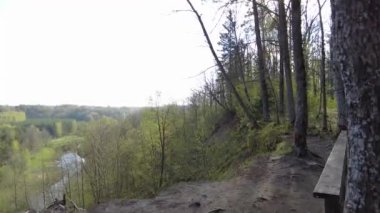 Ormanda gün boyunca yürürken yeşil ağaçlar hiç kimse güzel bir gün geçirmez doğa.