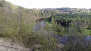 Ormanda gün boyunca yürürken yeşil ağaçlar hiç kimse güzel bir gün geçirmez doğa.