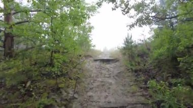 4K Orman Yürüyüşü: Huzurlu ve Gerçeküstü Doğa Deneyimi