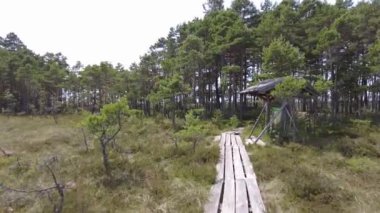 Ormandaki tahta patika..