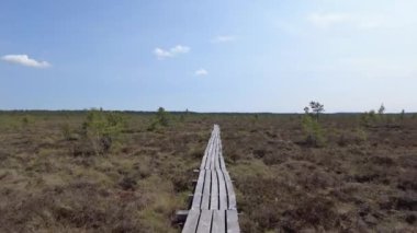 Bataklık günü düzlüklerinde tahta yol boyunca