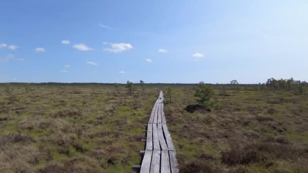湿地の昼間の平野に沿った平野道 — ストック動画