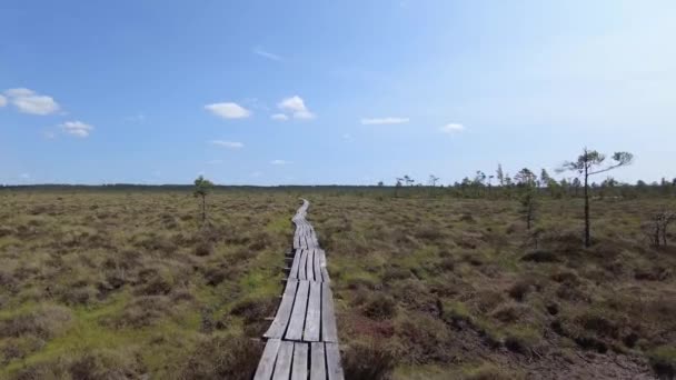 从沼泽地的小径上眺望 沼泽的沼泽 沼泽地景观 — 图库视频影像