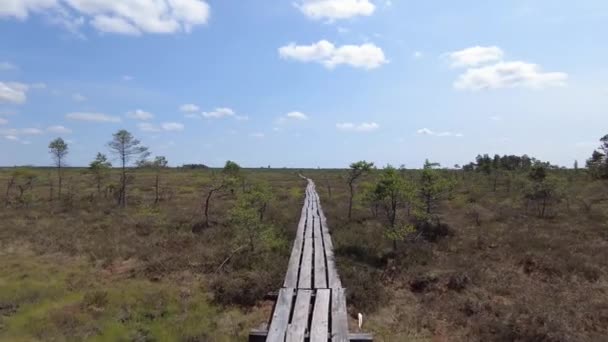 沿着沼泽白天的平坦原野的木板路 — 图库视频影像