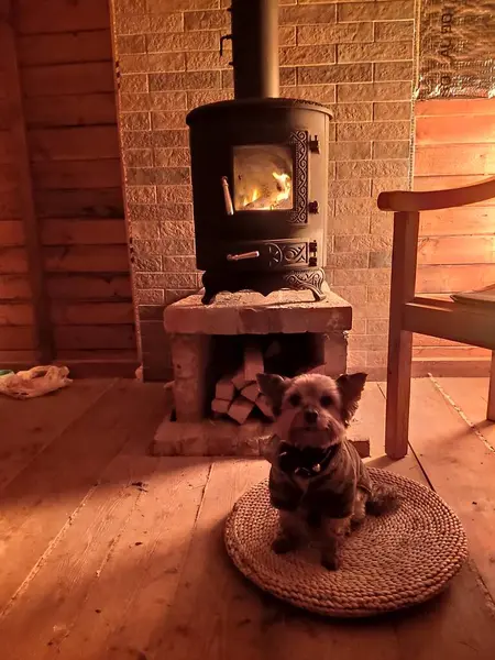 Yorkie 'nin yastığa sindiği odun sobası.