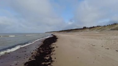 Baltık Denizi kıyısında yürüyorum 