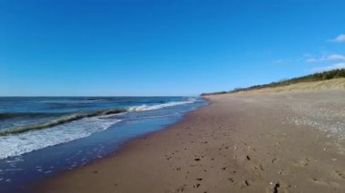 Baltık Denizi kıyısında yürüyorum 