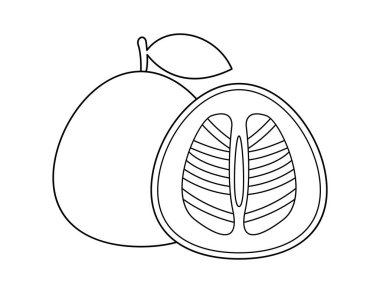 Boyama kitabı şablonu için pomelo meyve taslağı, çocuklar için Shaddock resimleme çalışma tablosu yazdırılabilir