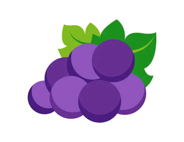 stock vector grape illustration for coloring book template, grape for kids worksheet printable