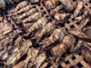 Kurutulmuş balık ve kuru balık görüntüsü koruma menüsü konsepti için