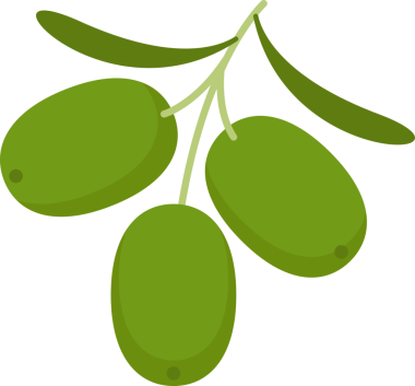 Boyama kitabı şablonu için zeytin çizimi, çocuklar için zeytin baskısı