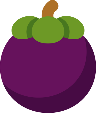 Boyama kitabı şablonu için mangosteen illüstrasyonuName