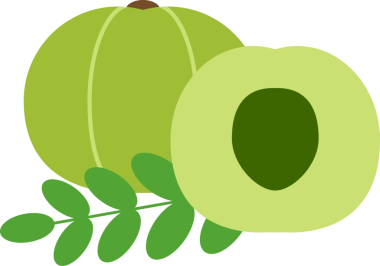 Boyama kitabı şablonu için bektaşi üzümü çizimi, çocuklar için bektaşi üzümü baskı tablosu